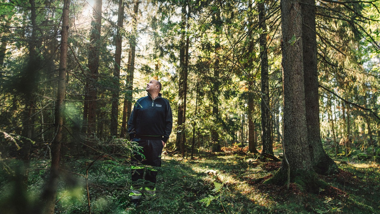 Bert Johansson w lesie.
